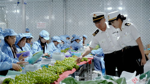 大理州2023年外貿(mào)進(jìn)出口總值大幅增長(zhǎng)78.8%，農(nóng)產(chǎn)品出口表現(xiàn)亮眼