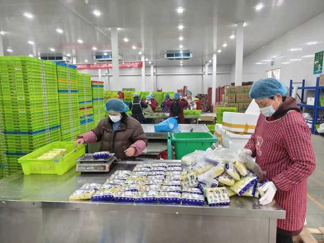 年味漸濃，果蔬禽畜開啟“春運”模式