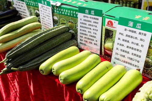 秋分時節慶豐收，佛山人的田園歡歌